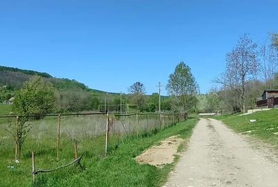 Teren în Gușoeni - 9