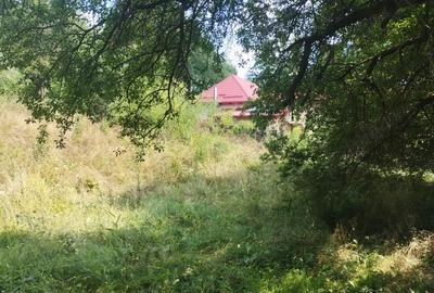 Teren de 1646 mp, în Scorțeni