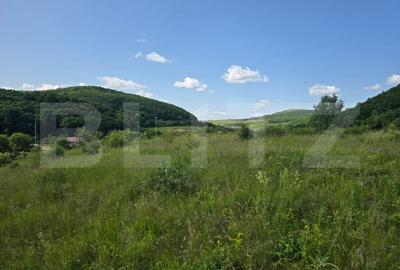 Teren potrivit pentru investitie in zona complexului Domeniul Regilor. - 5