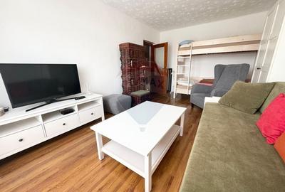 Apartament spatios de vanzare in zona turistica - Sinteu, Bihor - 17