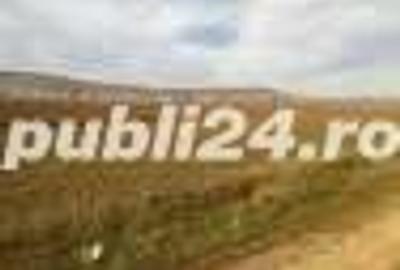 Teren de 600 mp, în Central - 1
