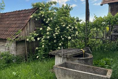 Casa de vanzare Com. Calarasi Turda - 4