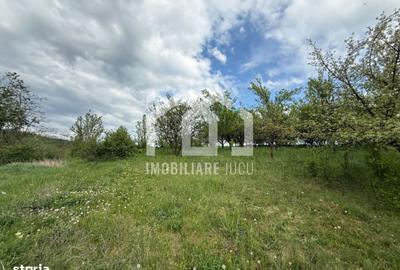 Spațiu comercial, în Căianu - 3