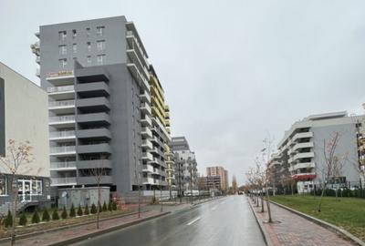 Theodor Pallady, teren 5000 mp