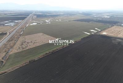 Teren Construcții intravilan de 700 mp, în Stupini - 7