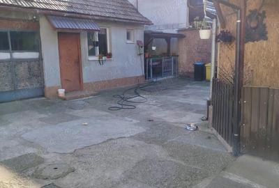 Casă cu 2 camere cu Teren 4080 Mp în Valea Roșie - 2