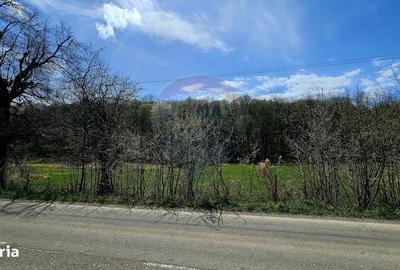 Spațiu comercial, în Mânăstirea Neamț - 2