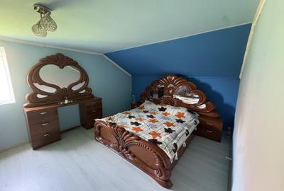 VILA IN SANNICOLAU MARE - 5