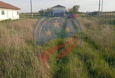 Terenuri de vanzare in Malu Mare - 5