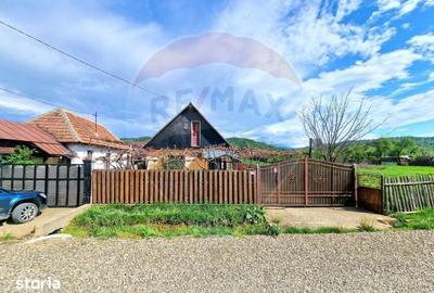 Casă cu 3 camere cu Teren 2254 Mp în Mănăstirea Cașin - 17