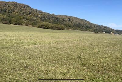 Bradu si Sacadate, Jud Sibiu - 2