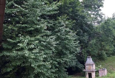 Casă cu 5 camere cu Teren 2345 Mp în Breaza - 7