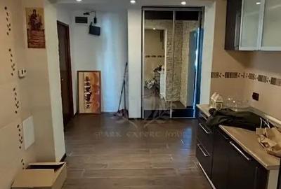 Apartament cu 2 camere decomandat în Paltiniș - 3