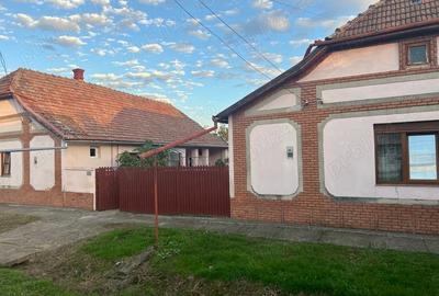 Casă cu 6 camere în Cenad - 2