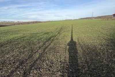 Teren de 15000 mp, în Aroneanu - 7