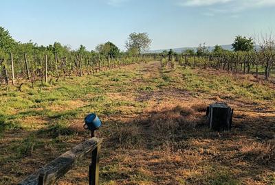 Spațiu comercial, în Putna - 7