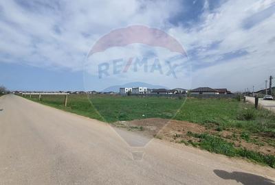 Teren Agricol, Intravilan vanzare, in Bucuresti Ilfov, Olteni - 9