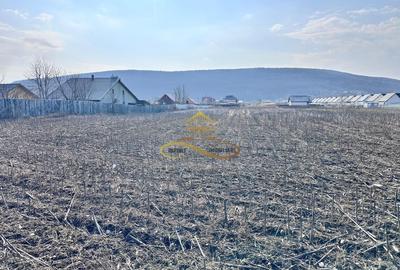 Teren Construcții intravilan de 3600 mp, în Hemeiuș - 2