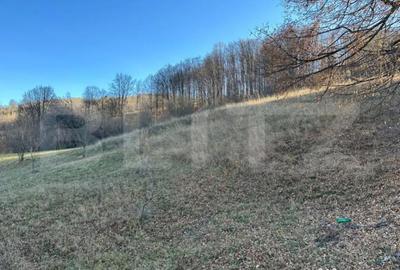 Teren de 12000 mp, în Central - 4