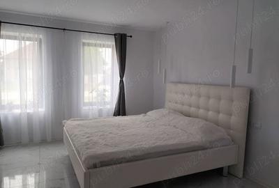 Casă cu 2 camere cu Teren 1439 Mp în Variaș - 2