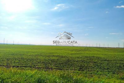 Oportunitate de investitie, teren intravilan 15.000 mp, Brazi-Negoiesti