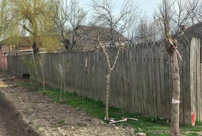 Casă cu Teren 3000 Mp în Bârca - 5