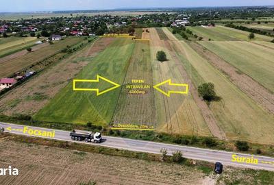 Teren de 6000 mp, în Biliești - 2