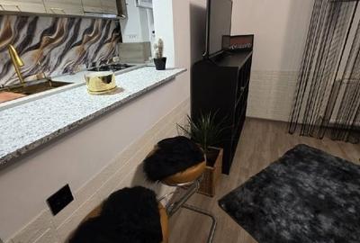 Metrou Leonida, Proprietar Prima Inchiriere, Studio, Centrala, Parcare - 4