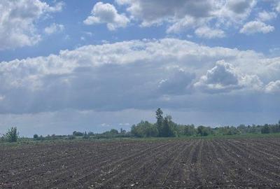 Teren de 7800 mp, în Central - 5