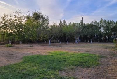 REL4000842 De vanzare teren intravilan 1000 mp. Corbeanca - 9