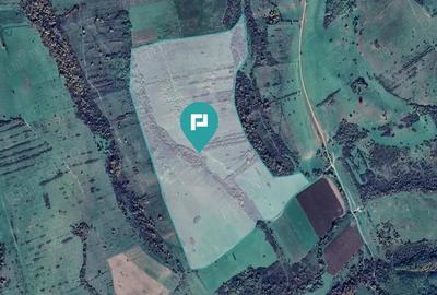 Teren arabil de 87 hectare in Bara, Timi? - 4