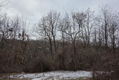 Spațiu comercial, în Teișani - 7