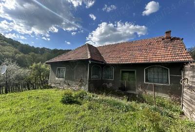 Casă cu 3 camere cu Teren 1000 Mp în Vulcan - 5