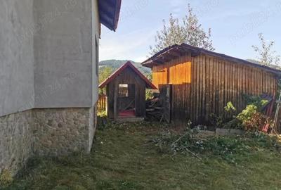 Casă în Cozănești - 2