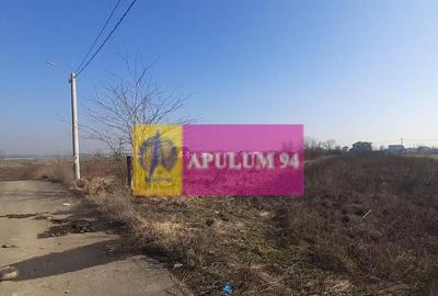 Teren de 3100 mp, în 1 Decembrie