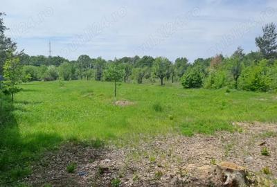 Teren de 1679 mp, în Băbana - 1