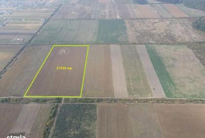 Spațiu comercial, în Moșnița Nouă - 4