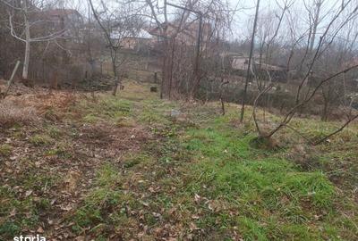 Teren de 1500 mp, în Goranu - 3