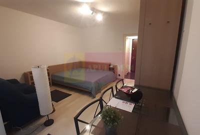 Garsonieră semidecomandată, mobilată în Dristor - 17