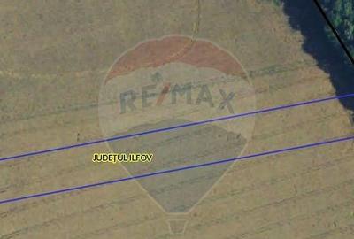 Teren Ciolpani 6000 mp DN1 PORTICO VENUE - 1