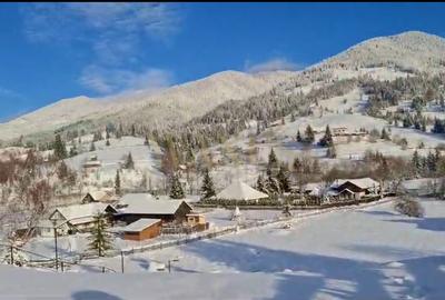 Teren 34,5 ari + cabana A-frame Colibita - ideal pentru resort, spa sau pensiune - 5