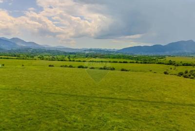 Teren de 10800 mp, în Râșnov - 17