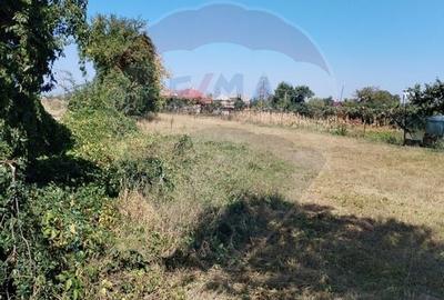 Teren 1,035mp Roznov / Strada Ses - 3
