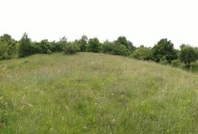 Teren intravilan de vanzare - 6