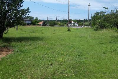 Teren de 11438 mp, în Hințești - 4