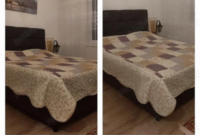 Apartament cu 2 camere decomandat în Văcăresti - 3