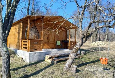 Teren intravilan de 2600 mp, în Vultureni - 3