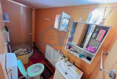 Casa mobilata utilata Brestei Promenada renovata 184mp teren - 9