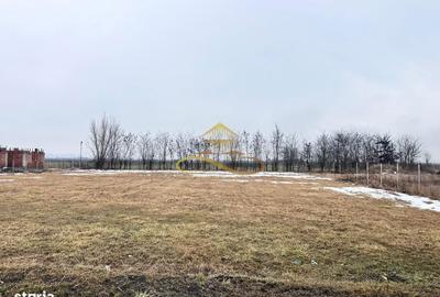 Teren de 900 mp, în Săucești - 5