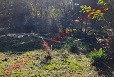 De vânzare un teren intravilan de 2.149 m² în Sovata, pe strada Vânătorilor - 2